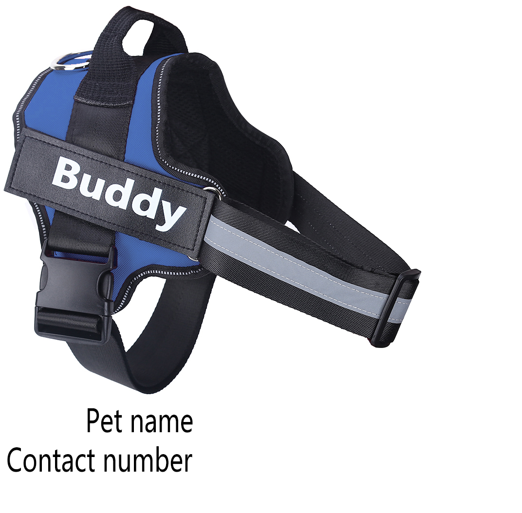 ClassyHarness: Custom No-Pull Dog Harness - Personalized Dog Body Collar