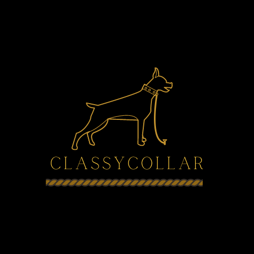 ClassyCollar