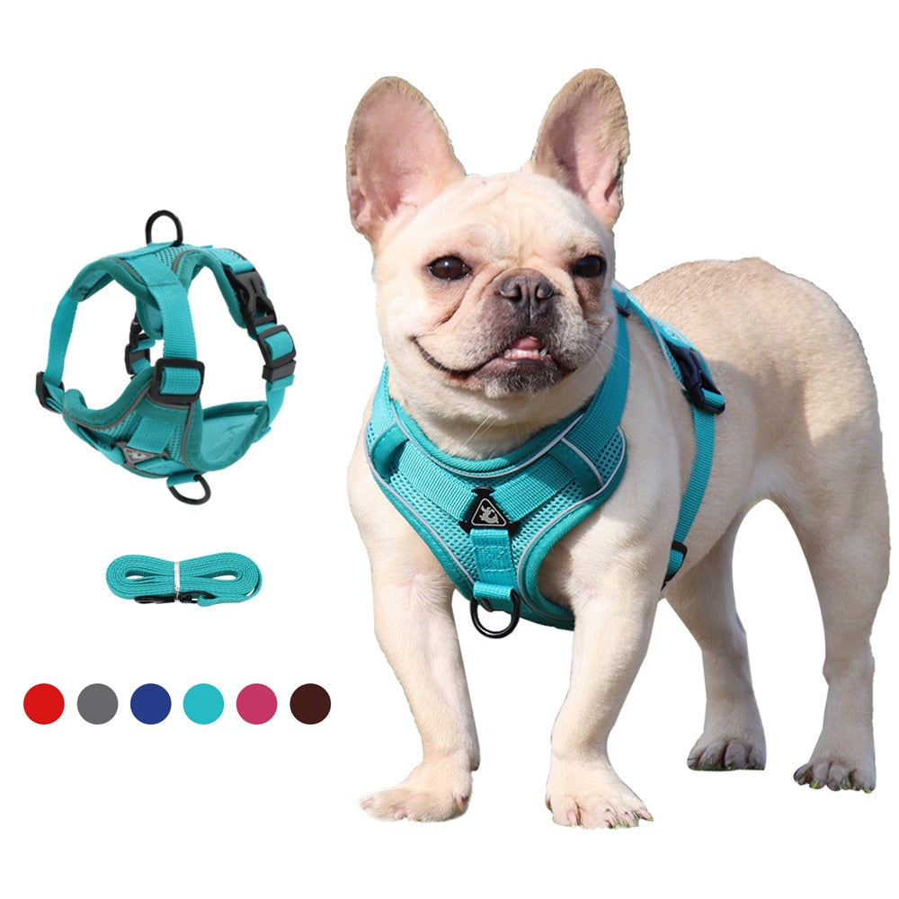 HappyHarness by ClassyCollar: The Ultimate Dog Vest Harness for Safety and Comfort