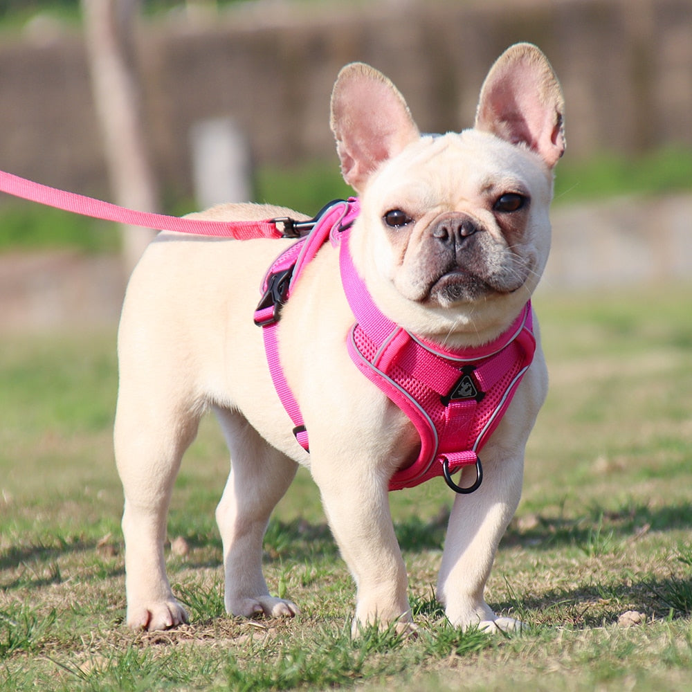 HappyHarness by ClassyCollar: The Ultimate Dog Vest Harness for Safety and Comfort