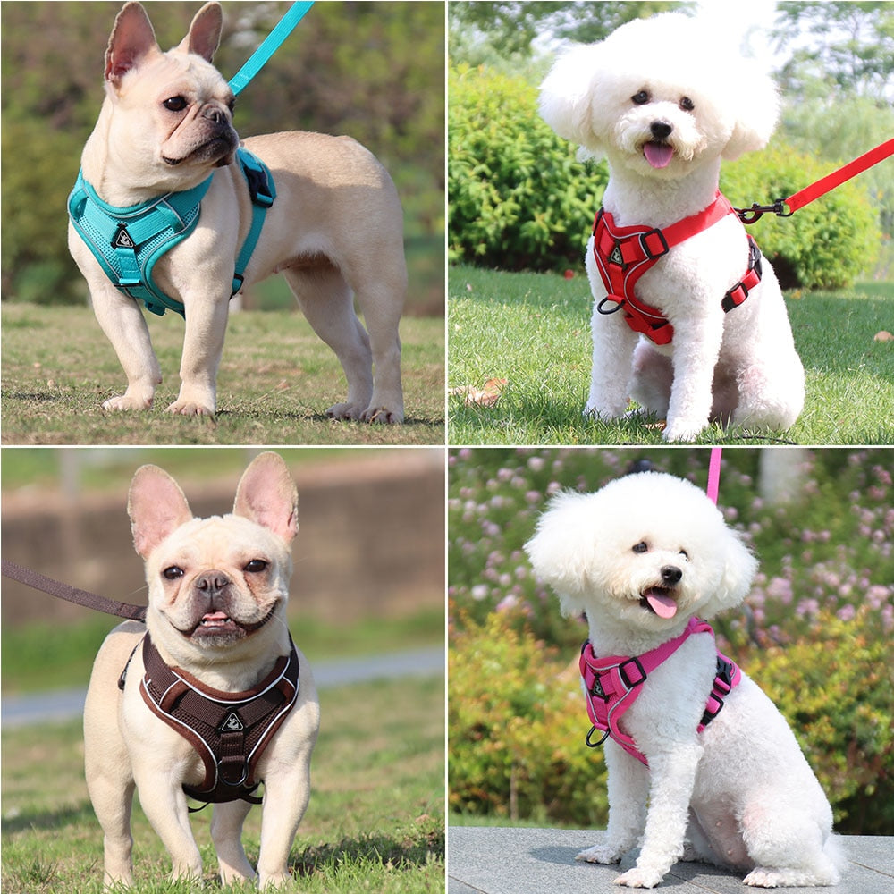 HappyHarness by ClassyCollar: The Ultimate Dog Vest Harness for Safety and Comfort