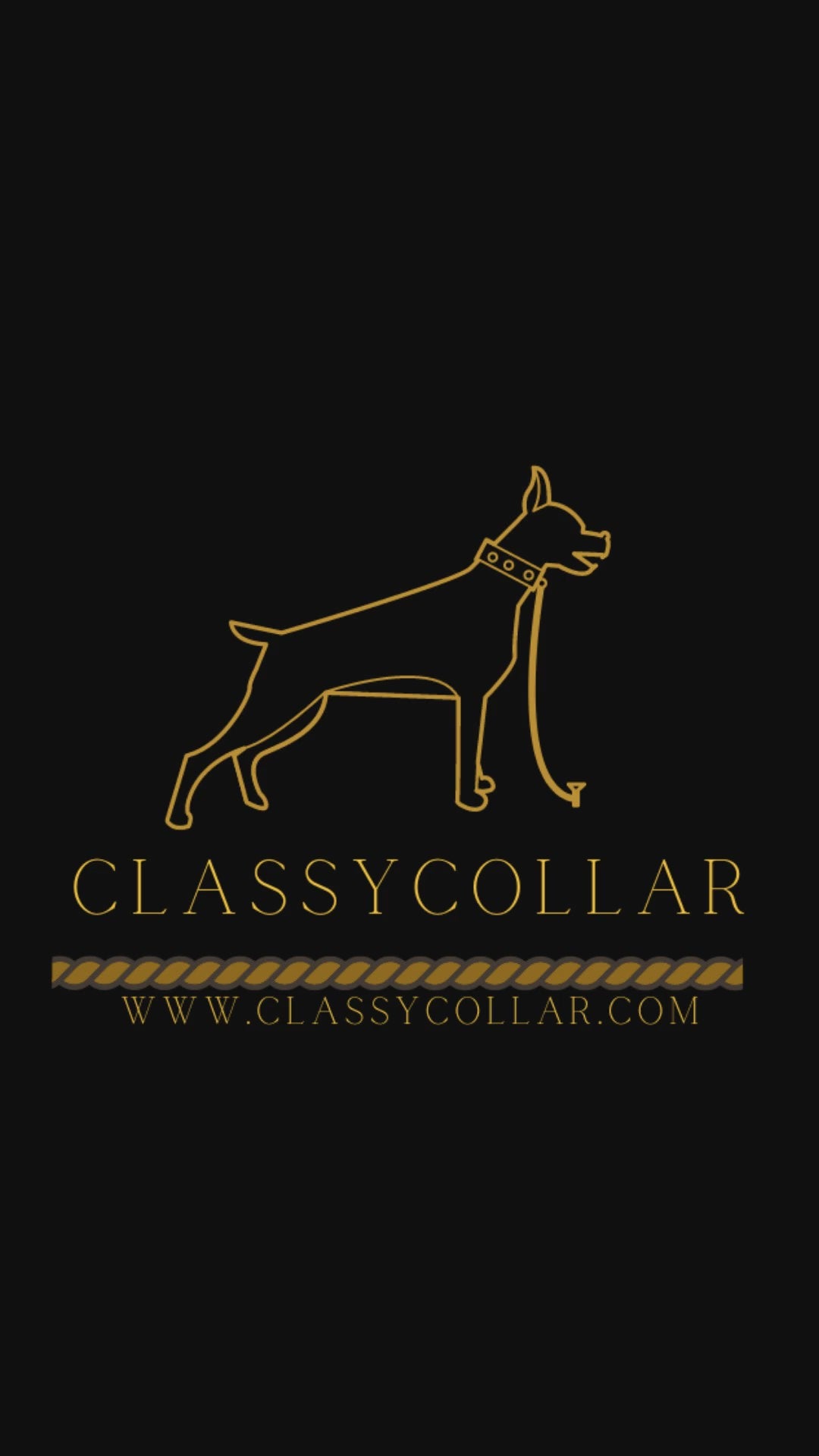 Load video: ClassyCollar.com 18K Gold Plated Cuban Chain Link Dog Collar Preview