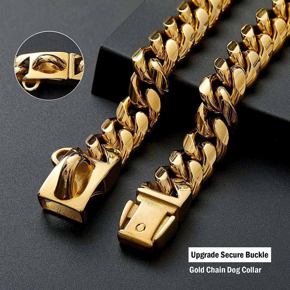 Gold chain quality dog collar