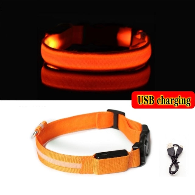 LED quality dog collar