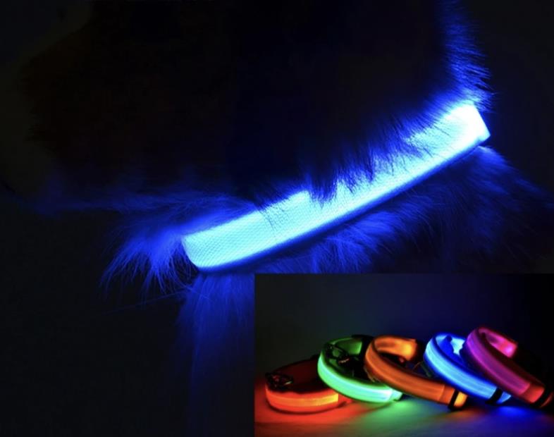 ClassyGlow LED Luminescent Dog Collar with USB Charging/Battery - Stylish, Functional, and Safe Dog Collar