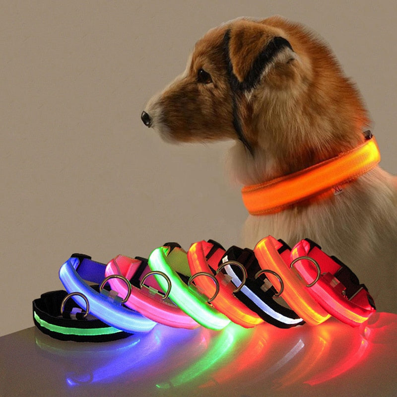 Dog worj LED dog collar orange