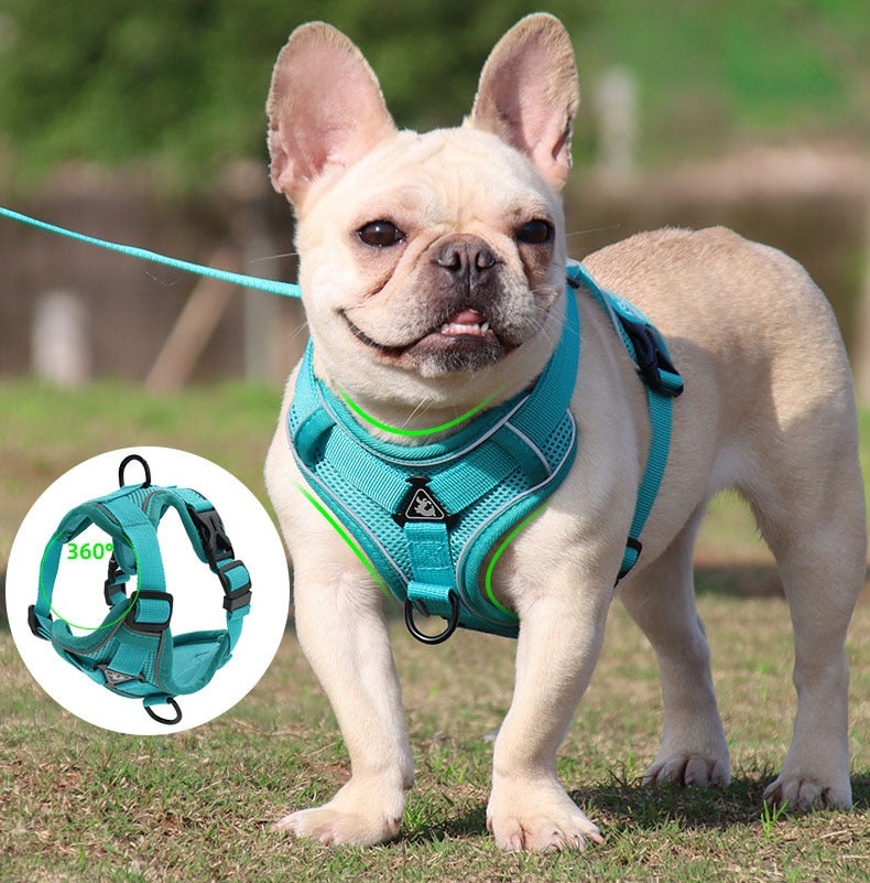 HappyHarness by ClassyCollar: The Ultimate Dog Vest Harness for Safety and Comfort