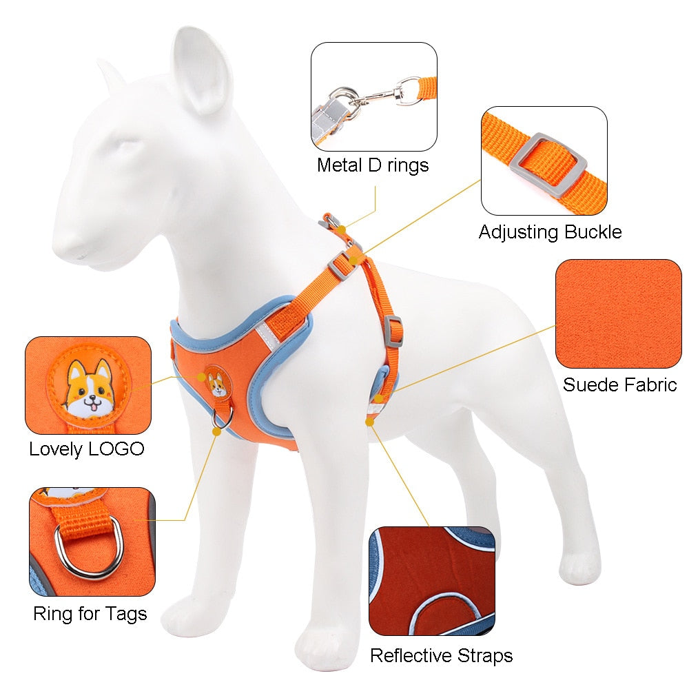 Dog harness with deals matching leash