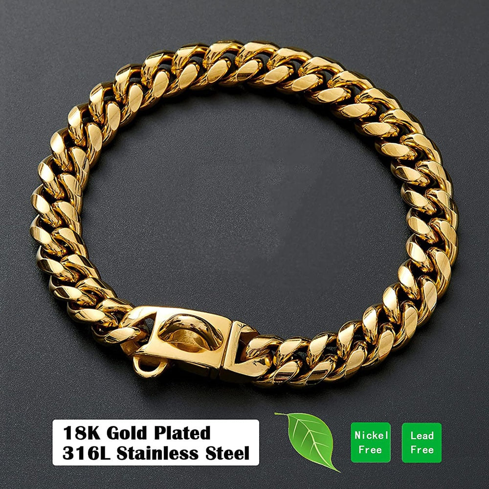 Circular gold chain dog collar