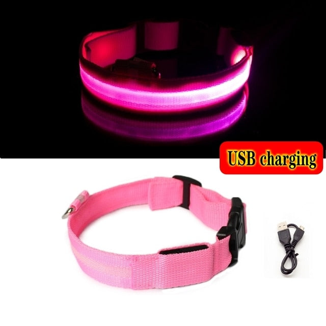 Circular LED dog collar