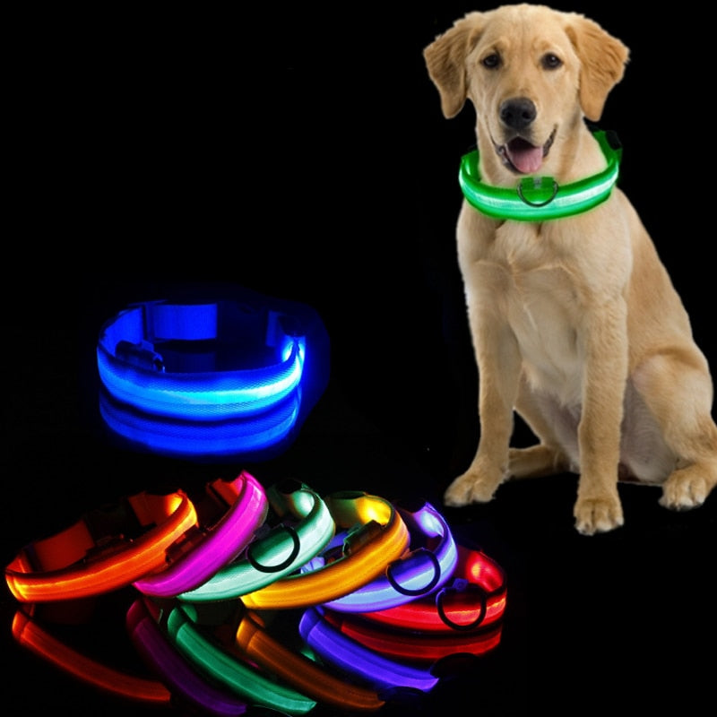 LED dog collar