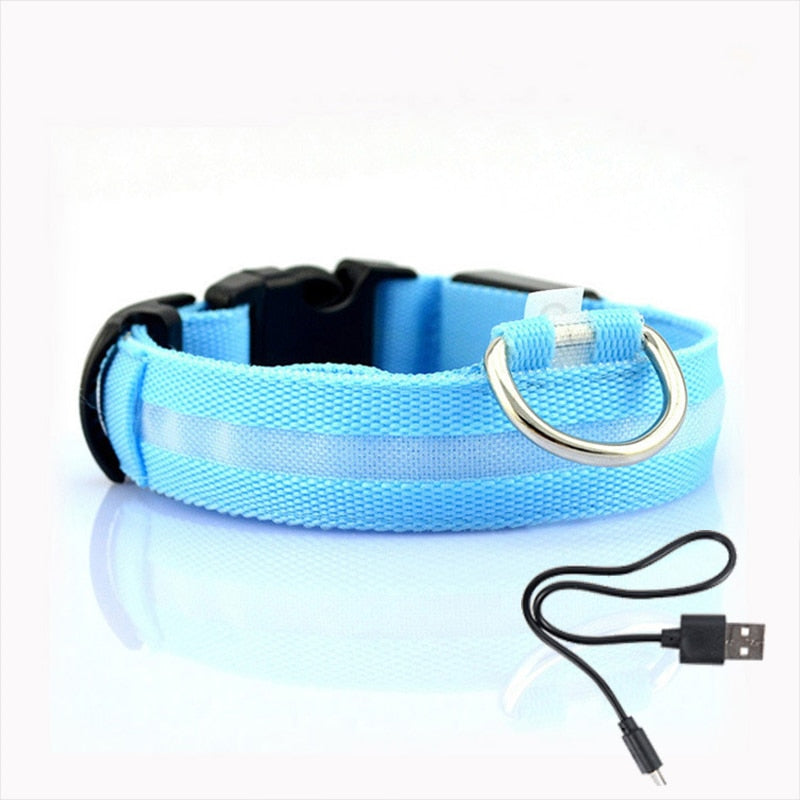 LED dog collar blue Light